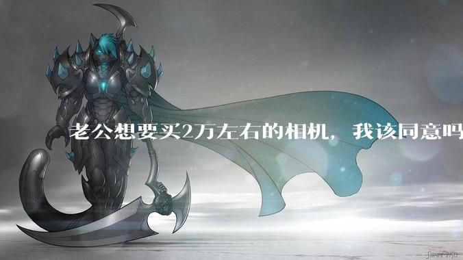 老公想要买2万左右的相机，我该同意吗？