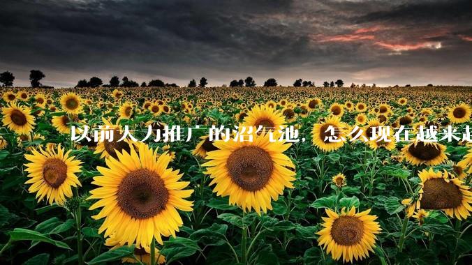 以前大力推广的沼气池，怎么现在越来越少了？