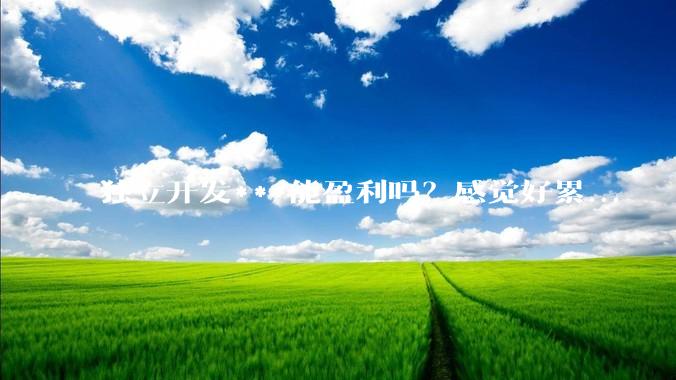 独立开发***能盈利吗？感觉好累...