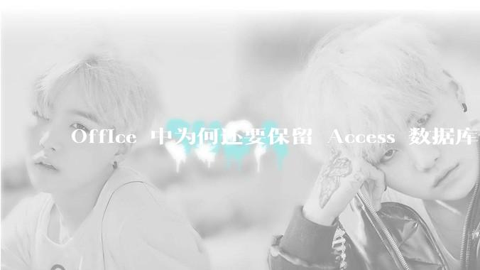 Office 中为何还要保留 Access 数据库?